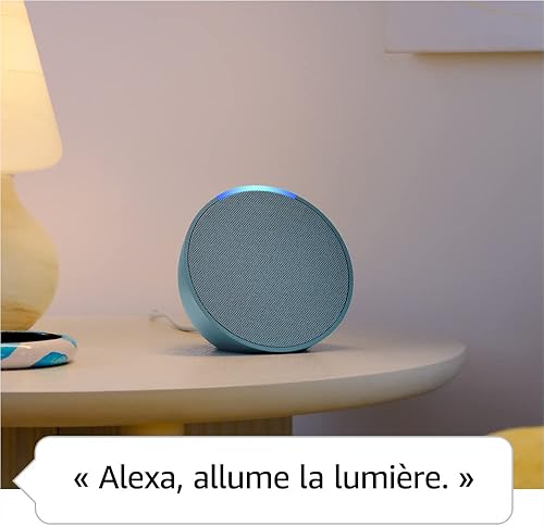 Enceinte Intelligente Compacte Bluetooth Et Wi-Fi